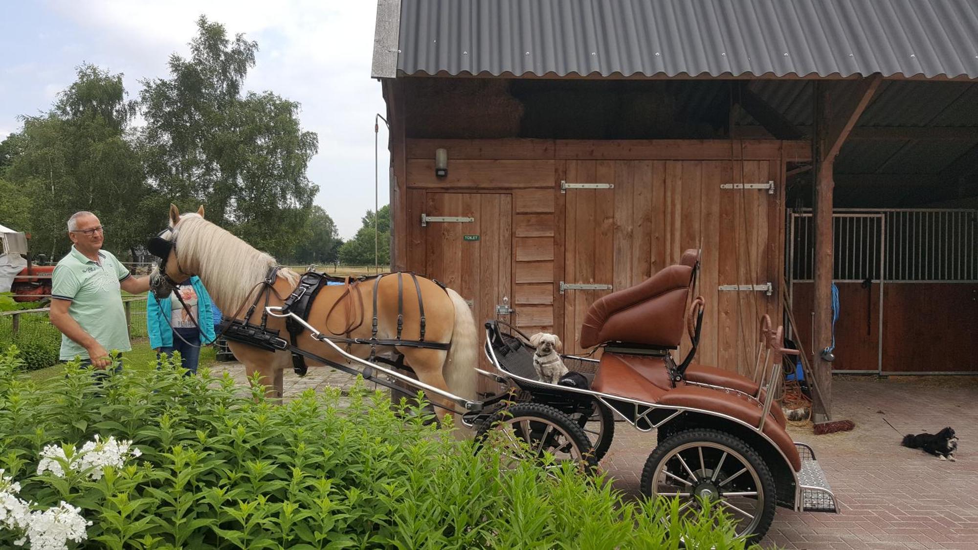 Vakantiehuis "Aan De Zandweg" Roderesch Экстерьер фото